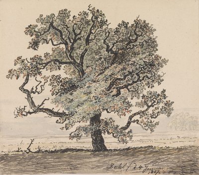 Sosna na równinie autorstwa Johan Christian Dahl