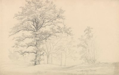 Drzewa liściaste autorstwa Johan Christian Dahl