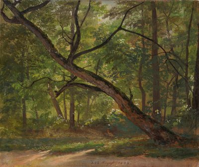 Lot w Wielkim Ogrodzie pod Dreznem autorstwa Johan Christian Dahl