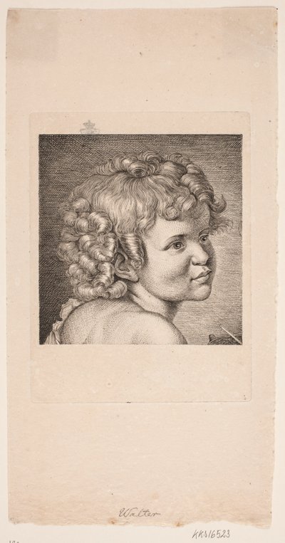 Dmuchawy zawisły autorstwa Johan Christian Ernst Walter