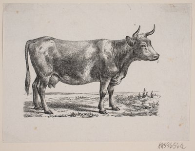 nie sądzę autorstwa Johan Frederik Rosenstand