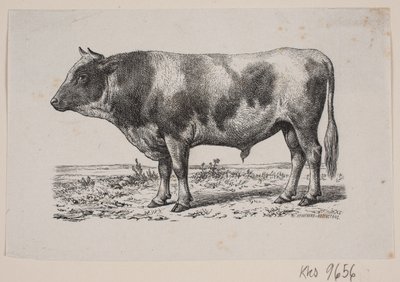 Byk autorstwa Johan Frederik Rosenstand