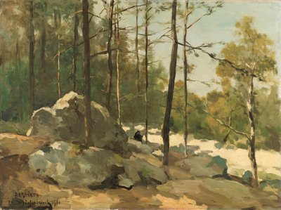 Zalesiony widok w pobliżu Barbizon Widok na las w pobliżu Barbizon autorstwa Johan Hendrik Weissenbruch