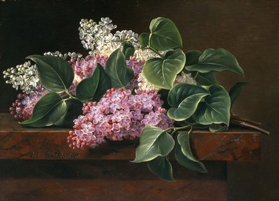 Liliowy na półce, autorstwa Johan Laurents Jensen