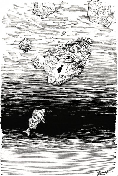 Ryby pod folią autorstwa Johan Liewendahl