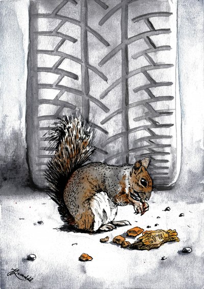 Wiewiórka autorstwa Tire Track autorstwa Johan Liewendahl