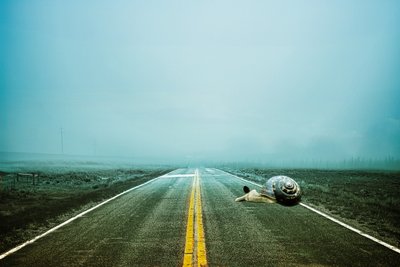 2020 droga powrotna, 2020 (fotografia cyfrowa) autorstwa Johan Lilja