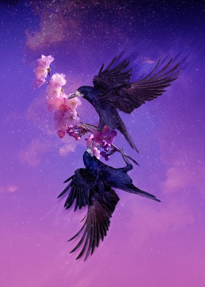 Bird Kingdom 5, 2018 (cyfrowa fotografia) autorstwa Johan Lilja