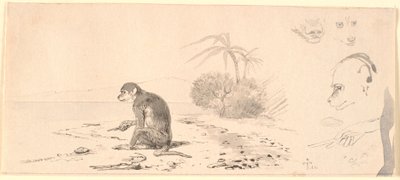 Kot małpa. T.h. badania głów małp itp. autorstwa Johan Thomas Lundbye