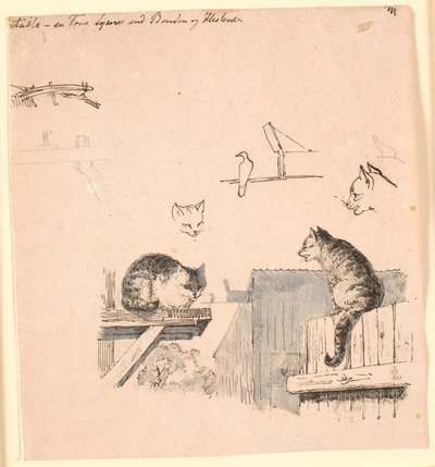 Dwa koty. F.o. badania głowy kota, ptaka, kociego ucha i pracy belki. Ilustracja do "Bajek dla dzieci" Kaalunda. Zobacz komentarz z katalogu arkuszy. autorstwa Johan Thomas Lundbye