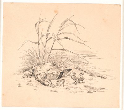 Zabita dzika kaczka. Ilustracja do "Bajek dla dzieci" Kaalunda. Zobacz komentarz z katalogu arkuszy. autorstwa Johan Thomas Lundbye