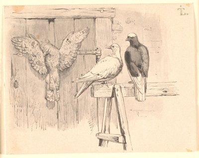 Gołębie autorstwa Johan Thomas Lundbye