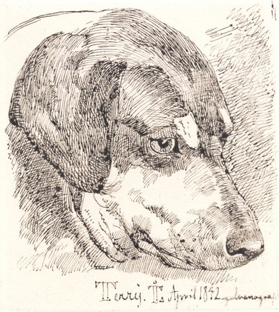 Hundehoved, Terry autorstwa Johan Thomas Lundbye