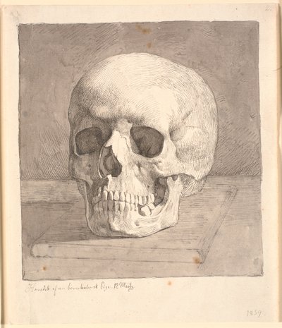 Czaszka, widok z przodu autorstwa Johan Thomas Lundbye