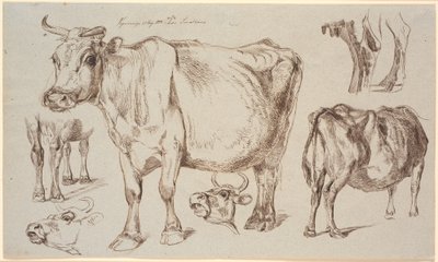 Czasopismo Study z Vognserup. Różne badania krowy autorstwa Johan Thomas Lundbye