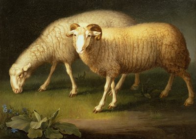 Baran i owca (olej na płótnie) autorstwa Johan Wenzel Peter