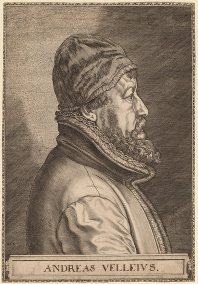 Andreas Velleius (Anders Sorensen Vedel) autorstwa Johan Wierix