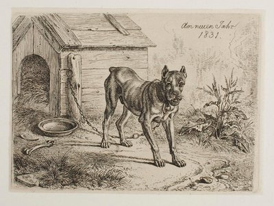  autorstwa Johann Adam Klein