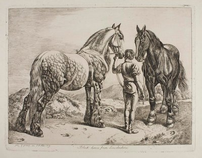  autorstwa Johann Adam Klein