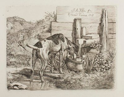  autorstwa Johann Adam Klein