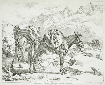  autorstwa Johann Adam Klein