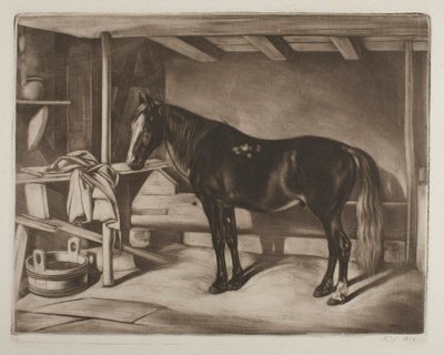  autorstwa Johann Adam Klein
