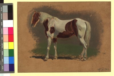 Pferdestudie autorstwa Johann Adam Klein