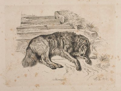  autorstwa Johann Adam Klein