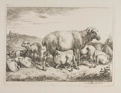  autorstwa Johann Adam Klein