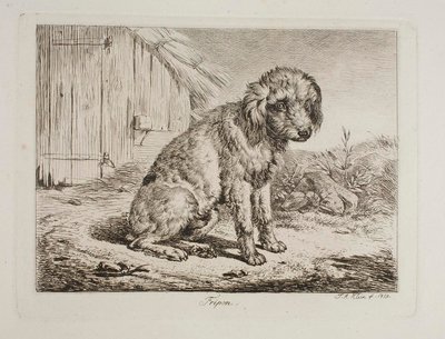  autorstwa Johann Adam Klein
