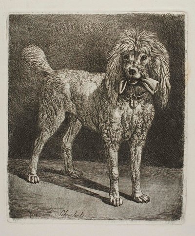  autorstwa Johann Adam Klein