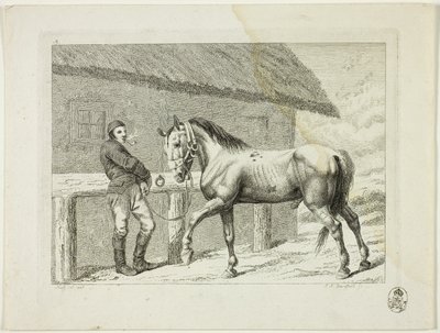 Szkoła jeździecka i konie autorstwa Johann Adolph Darnstedt