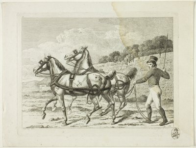 Szkoła jeździecka i konie autorstwa Johann Adolph Darnstedt