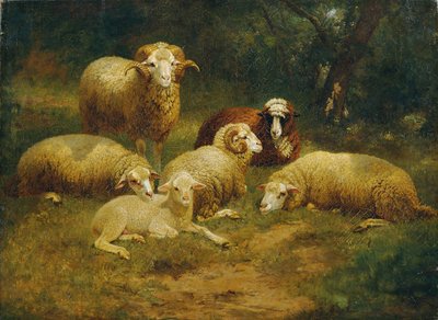 owce autorstwa Johann Baptist Hofner
