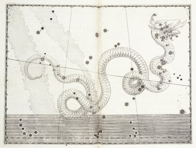 Konstelacja Głowy Węża i Ogonu Węża, ok. 1603 autorstwa Johann Bayer