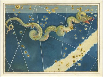Hydra - Johann Bayer autorstwa Johann Bayer