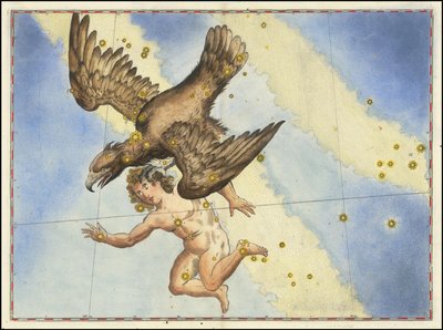 Johann Bayer - Aquila autorstwa Johann Bayer