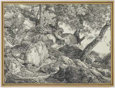 W parku Palazzo Chigi, Ariccia, 1818 (grafitowo-czarna kreda na papierze wykładanym) autorstwa Johann Christian Reinhardt