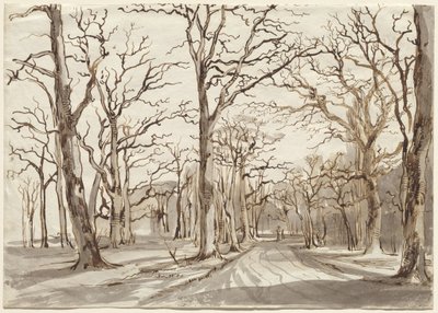 Leśna ścieżka w Rosenthal zimą autorstwa Johann Christian Reinhart