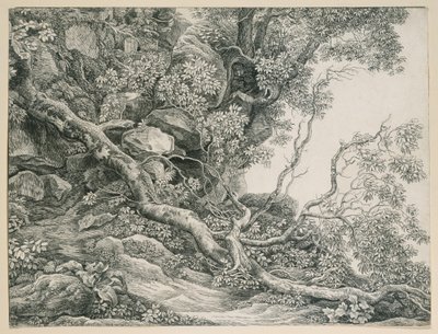 Drzewa na skalistym zboczu autorstwa Johann Christian Reinhart