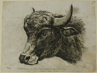 Głowa bawoła skierowana w lewo, z Die Zweite Thier Folge autorstwa Johann Christian Reinhart