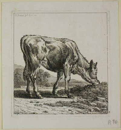 Karmienie cieląt, z Die Zweite Thierfolge autorstwa Johann Christian Reinhart