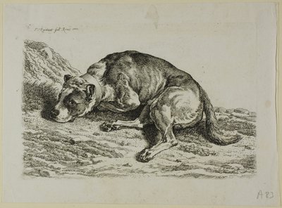 Kładzenie się psa, z „Drugiej sukcesji złodzieja” autorstwa Johann Christian Reinhart