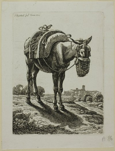 Karmiący muł - przód, z drugiej linii złodziei autorstwa Johann Christian Reinhart