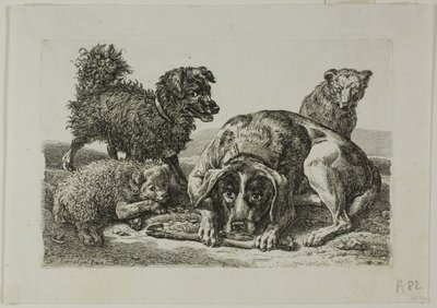 Cztery psy z Die Zweite Thierfolge autorstwa Johann Christian Reinhart