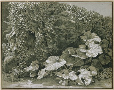 Rośliny o dużych liściach przy skalnej grocie porośniętej bluszczem autorstwa Johann Christian Reinhart