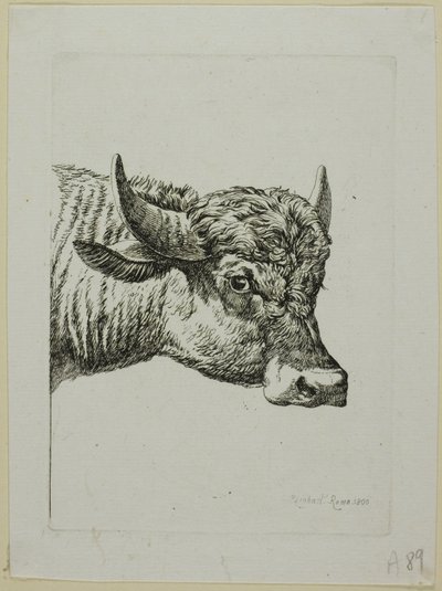 Głowa bawoła, z Die Zweite Thiernahme autorstwa Johann Christian Reinhart