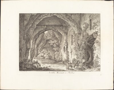 W willi Mecenate autorstwa Johann Christian Reinhart