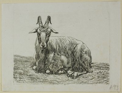 Leżąca Koza, z Die Zweite Thiernahme autorstwa Johann Christian Reinhart