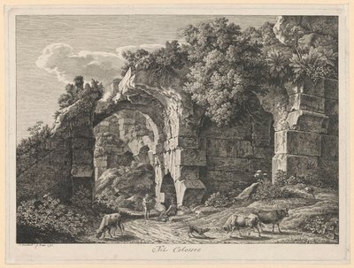 Pejzaż - W Koloseum autorstwa Johann Christian Reinhart